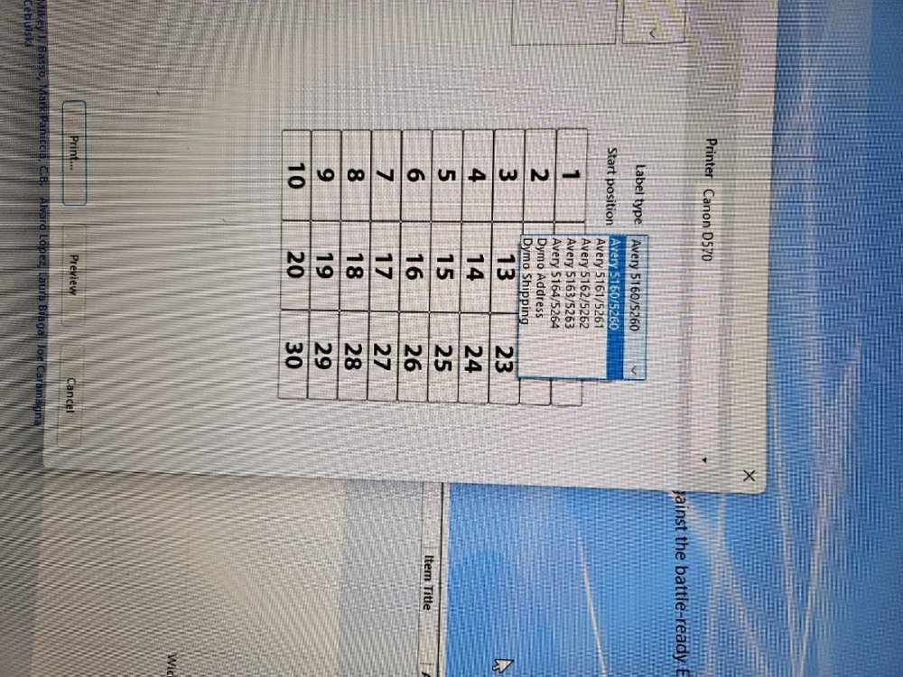 17362807335438445070181902241998.jpg